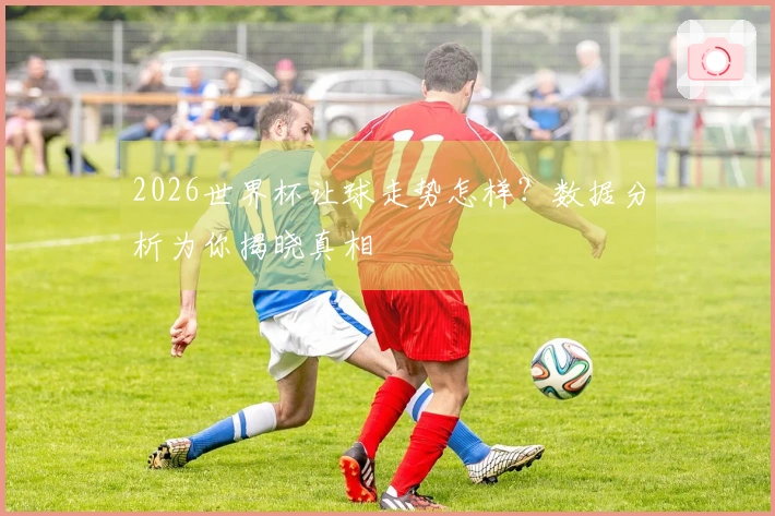 2026世界杯让球走势怎样？数据分析为你揭晓真相