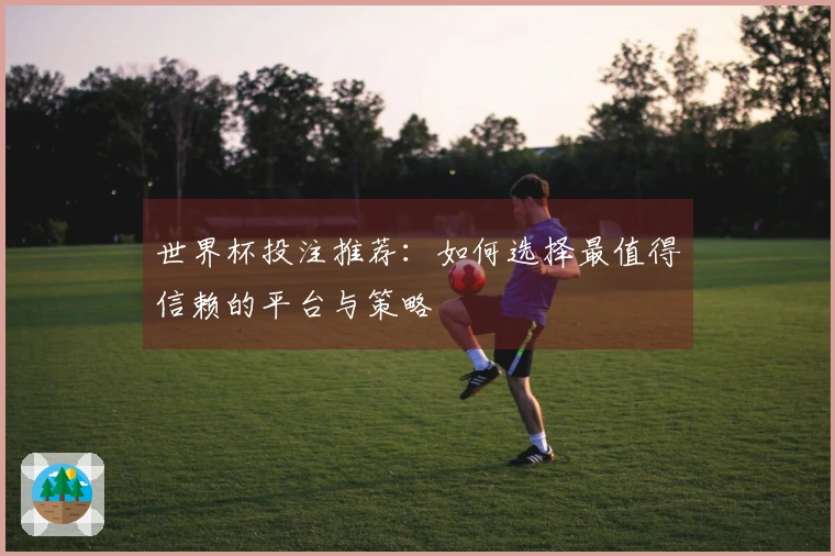 世界杯投注推荐：如何选择最值得信赖的平台与策略