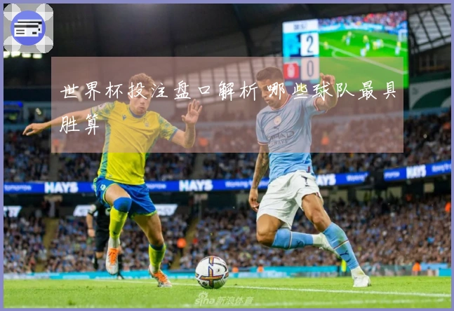 世界杯投注盘口解析 哪些球队最具胜算