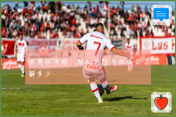 世界杯滚球买球的风险与机会你了解多少