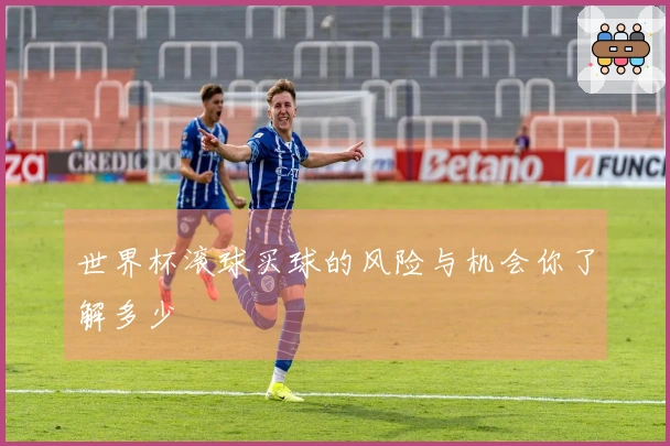 世界杯滚球买球的风险与机会你了解多少