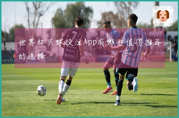 世界杯买球投注App有哪些值得推荐的选择