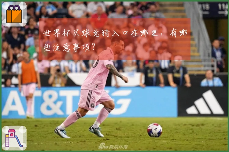 世界杯买球竞猜入口在哪里，有哪些注意事项？