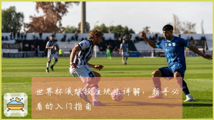 世界杯滚球投注玩法详解，新手必看的入门指南
