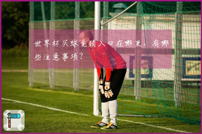 世界杯买球竞猜入口在哪里，有哪些注意事项？