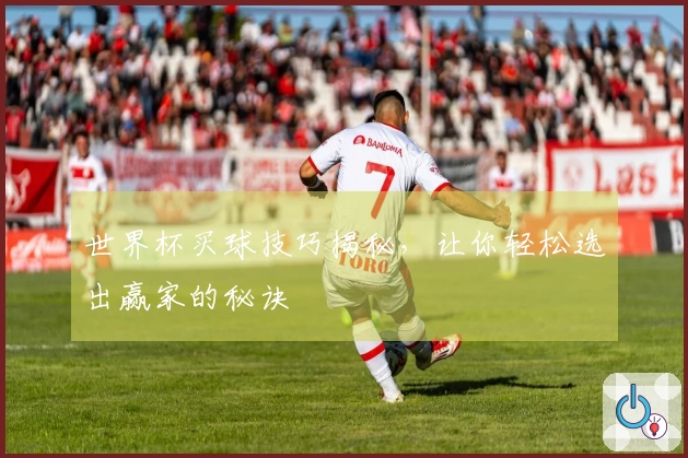 世界杯买球技巧揭秘，让你轻松选出赢家的秘诀
