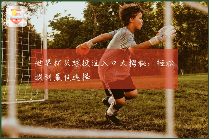 世界杯买球投注入口大揭秘，轻松找到最佳选择